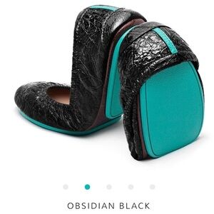 Tieks Obsidian Black and Teal Flats